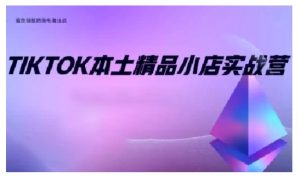 TikTok本土精品小店出海实战营，从入门到高阶，不止0-1!-康仁安资源