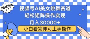 视频号蓝海赛道玩法，当天起号，拉爆流量收益，小白也能轻松月入30000+-康仁安资源