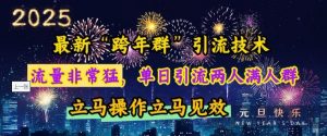 最新“跨年群”引流，流量非常猛，单日引流两人满人群，立马操作立马见效【揭秘】-康仁安资源