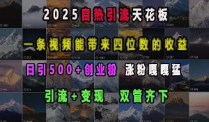 2025自热引流天花板，一条视频能带来四位数的收益，引流+变现双管齐下，日引500+创业粉，涨粉嘎嘎猛-康仁安资源