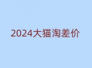 2024版大猫淘差价课程，新手也能学的无货源电商课程-康仁安资源