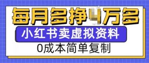 小红书虚拟资料项目，0成本简单复制，每个月多挣1W【揭秘】-康仁安资源