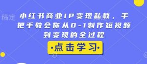 小红书商业IP变现私教，手把手教会你从0-1制作短视频到变现的全过程-康仁安资源