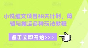 小说推文项目38天计划，剪辑与搬运多种玩法教程-康仁安资源