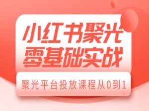 小红书聚光零基础实战，聚光平台投放课程从0到1-康仁安资源