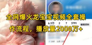 全网爆火龙宝宝视频全套操作流程，播放量2000万+-康仁安资源