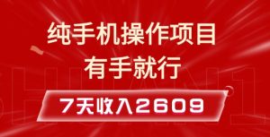 纯手机操作的小项目，有手就能做，7天收入2609+实操教程【揭秘】-康仁安资源