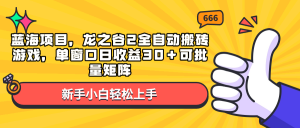 蓝海项目，龙之谷2全自动搬砖游戏，单窗口日收益30＋可批量矩阵-康仁安资源