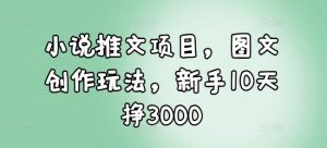 小说推文项目，图文创作玩法，新手10天挣3000-康仁安资源