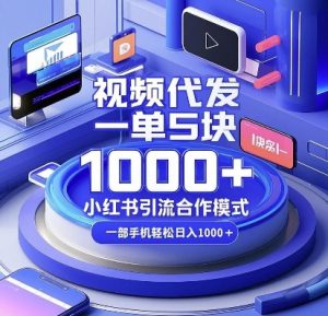 视频代发，一单5块，小红书引流合作模式，一部手机轻松日入多张【揭秘】-康仁安资源