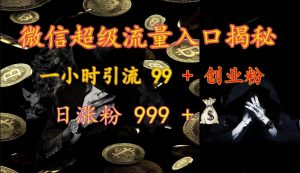 微信超级流量入口揭秘：一小时引流 99 + 创业粉，日涨粉 999 +-康仁安资源
