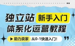 独立站新手入门体系化运营教程，助力独立站卖家从0-1快速入门!-康仁安资源