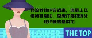 顶流女性IP实战班，流量上亿情绪引爆法，深度打磨顶流女性IP硬核基本功-康仁安资源