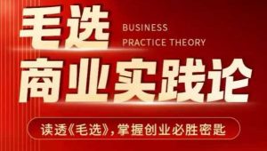 毛选商业实践论，读透《毛选》掌握创业必胜密匙-康仁安资源