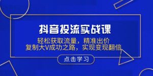 抖音投流实战课，轻松获取流量，精准出价，复制大V成功之路，实现变现翻倍-康仁安资源