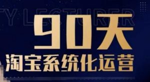 90天淘宝系统化运营，从入门到精通-康仁安资源