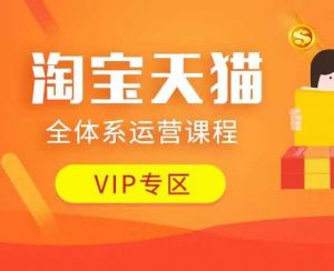 淘宝天猫全体系运营课程：店铺全系运营、动销玩法、付费推广、流量提升、擦边球玩法等等-康仁安资源