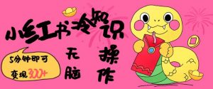 小红书冷知识账号，无脑复制粘贴，5分钟即可变现3张-康仁安资源