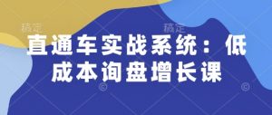 直通车实战系统：低成本询盘增长课，让个人通过技能实现升职加薪，让企业低成本获客，订单源源不断-康仁安资源