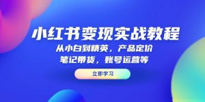 小红书变现实战教程：从小白到精英，产品定价，笔记带货，账号运营等-康仁安资源