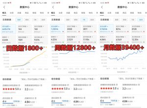 拼多多虚拟店铺项目，电脑挂机自动发货，单店日利润300+-康仁安资源