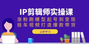 IP剪辑师实操课：涨粉跑模型起号到变现，挂车视频打造爆款带货-康仁安资源
