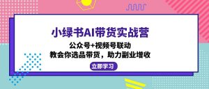 小绿书AI带货实战营：公众号+视频号联动，教会你选品带货，助力副业增收-康仁安资源