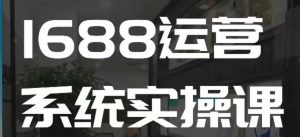 1688高阶运营系统实操课，快速掌握1688店铺运营的核心玩法-康仁安资源