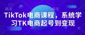 TikTok电商课程，​系统学习TK电商起号到变现-康仁安资源