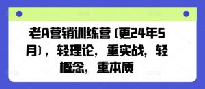 老A营销训练营(更25年1月)，轻理论，重实战，轻概念，重本质-康仁安资源