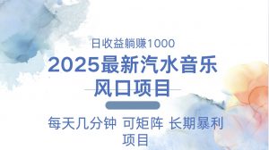 2025最新汽水音乐躺赚项目 每天几分钟 日入1000＋-康仁安资源