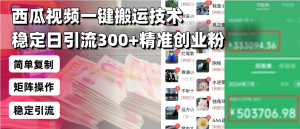 西瓜视频一键搬运技术，稳定日引流300+精准创业粉，简单可复制给团队，...-康仁安资源
