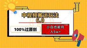 中视频搬运玩法6.0，利用软件双重去重，100%过原创，小白也能月入5w+-康仁安资源