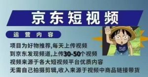 京东短视频带货课，无需自己拍摄剪辑，保姆式教学，两天快速上手-康仁安资源