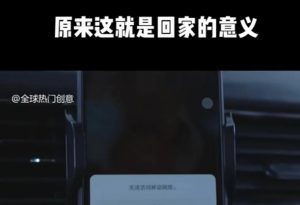 利用春节风口，制作热点视频，多种玩法类型，新手也能轻松变现！-康仁安资源