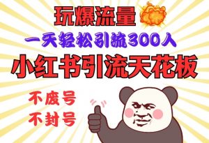 小红书引流天花板，玩爆流量，一天轻松引流300人，安全操作-康仁安资源