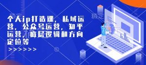 个人ip打造课，私域运营，公众号运营，知乎运营，底层逻辑和方向定位等-康仁安资源