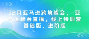 12月亚马逊跨境峰会， 亚马逊峰会直播，线上特训营基础版，进阶版-康仁安资源