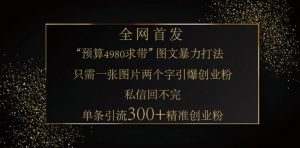 小红书神奇图片引流法，只需一张图，就能单条笔记凭借此方法，轻松引流 300 + 精准创业粉-康仁安资源