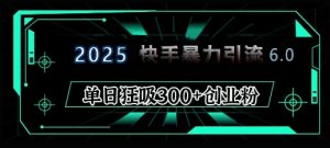2025年快手6.0保姆级教程震撼来袭，单日狂吸300+精准创业粉-康仁安资源
