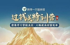 剽悍一只猫-过钱关特训营，学习营销真经 大幅度提高创富效率-康仁安资源