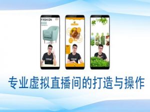 个人虚拟直播间的搭建与操作，专业虚拟直播间的打造与操作-康仁安资源