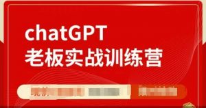 ChatGPT老板实战训练营，用GPT带飞，一人顶一个团队-康仁安资源