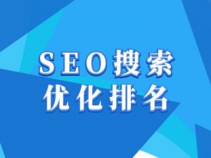 抖音搜索SEO教程，抖音SEO搜索优化排名-康仁安资源