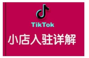 TikTok跨境小店运营全攻略，帮助你独立运营TK跨境小店的能力，实现销量增长-康仁安资源