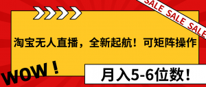 淘宝无人直播，全新起航！可矩阵操作，月入5-6位数！-康仁安资源