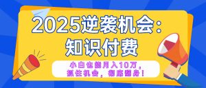 2025逆袭项目——知识付费，小白也能月入10万年入百万，抓住机会彻底翻...-康仁安资源