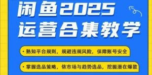2025闲鱼电商运营全集，2025最新咸鱼玩法-康仁安资源