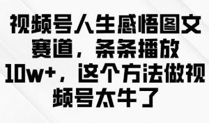 视频号人生感悟图文赛道，条条播放10w+，这个方法做视频号太牛了-康仁安资源