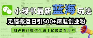 小绿书无脑搬运引流，全自动日引500精准创业粉，微信生态内又一个闷声发财的机会-康仁安资源